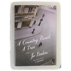 a-country-road-a-tree-jo-baker-82519-x229-64_48451.jpg