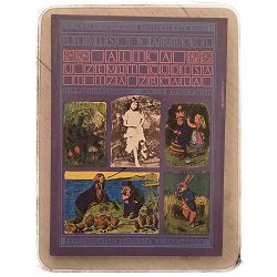 alica-u-zemlji-cudesa-i-iza-zrcala-lewis-carroll-53819-s-320_3965.jpg