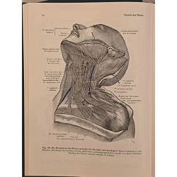 anatomischer-atlas-1-3-27548-set-1322_71917.jpg
