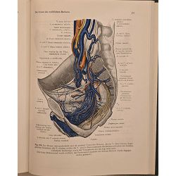 anatomischer-atlas-1-3-98431-set-1322_71918.jpg