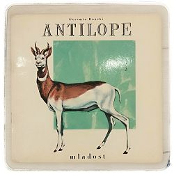 antilope-geremia-ronchi-35630-x241-30_50430.jpg