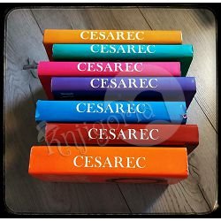 AUGUST CESAREC DJELA
