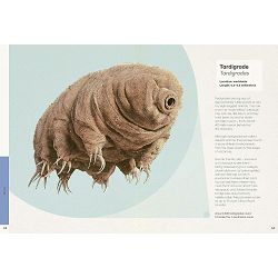 ben-rotherys-weird-and-wonderful-animals-ben-rothery-54394-x502-36_73068.jpg