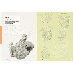 ben-rotherys-weird-and-wonderful-animals-ben-rothery-83783-x502-36_73066.jpg