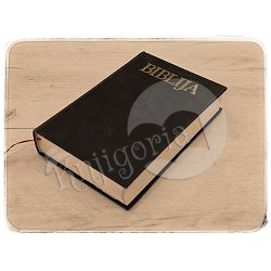 biblija-stari-i-novi-zavjet-jure-kastelan-bonaventura-duda-11684-bib-61_65304.jpg