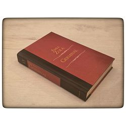 biblioteka-jutarnjeg-lista-najveca-djela-br-13-germinal-emil-65086-x7-17_5256.jpg
