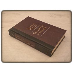 biblioteka-jutarnjeg-lista-najveca-djela-br-6-sjaj-i-bijeda--4373-x7-15_5254.jpg