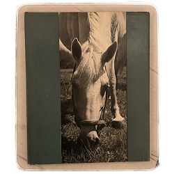 Bijelo biserje Jugoslavije Zvonko Benčević, Ivan Brlić