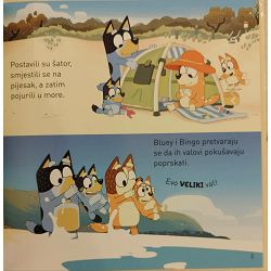 bluey-plaza-13924-x247-41_52007.jpg