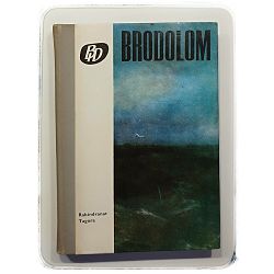 brodolom-rabindranath-tagore-rabindranat-tagora--82753-x246-34_51796.jpg