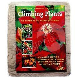 CLIMBING PLANTS