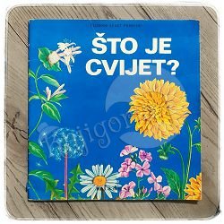 Čudesni svijet prirode: Što je cvijet? Jenifer W. Day