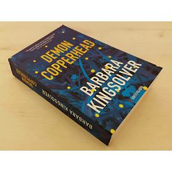 demon-copperhead-barbara-kingsolver-81018-x98-124_60944.jpg