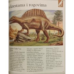 dinosauri-i-izumrle-zivotinje-laure-cambournac-73053-enc-94_52880.jpg