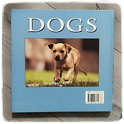 dogs-derek-hall-47815-x217-65_45627.jpg