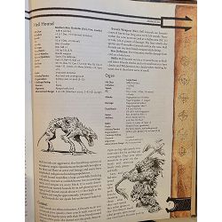 dungeons-dragons-players-handbook-46105-x306-15_67121.jpg