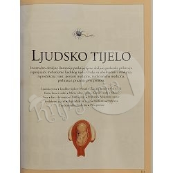 faktopedija-ilustrirana-enciklopedija-68071-enc-43_48708.jpg