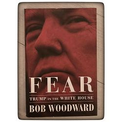 fear-trump-in-the-white-house-17416-x500-26_1.jpg