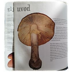 gljive-70-izvanrednih-recepata-za-pripremu-slasnih-jela-44873-kuh-833_44597.jpg