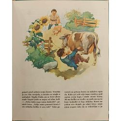 grimmove-bajke-3-jacob-i-wilhelm-grimm-67038-x245-18_51415.jpg