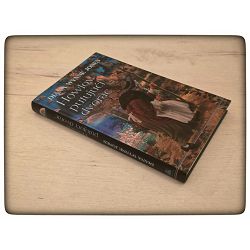 howlov-putujuci-dvorac-diana-wynne-jones-12981-x181-42_69416.jpg