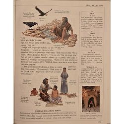 ilustrirana-obiteljska-biblija-2671-religija-97_67948.jpg