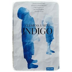 Indigo Clemens J. Setz