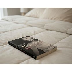 Javni i tajni život Marilyn Monroe Charles Casillo