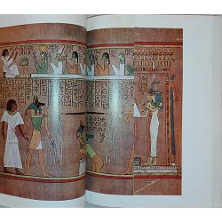 knjiga-o-knjizi-i-tom-historija-pisama-23377-x245-51_51577.jpg