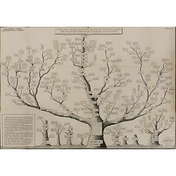 knjiga-o-knjizi-i-tom-historija-pisama-zvonimir-kulundzic-41552-x245-51_51581.jpg