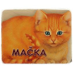 Mačka Đurđica Šokota 