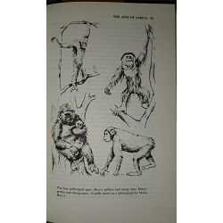 mankind-in-the-making-the-story-of-human-evolution-william-h-45956-x212-22_42011.jpg