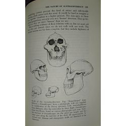 mankind-in-the-making-the-story-of-human-evolution-william-h-95791-x212-22_42013.jpg