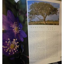 medicinal-plants-properties-traditional-uses-catherine-monni-83541-x175a-1_67379.jpg