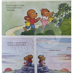 medvjedici-i-problemi-s-novcem-stan-berenstain-jan-berenstai-98376-slk-367_48668.jpg