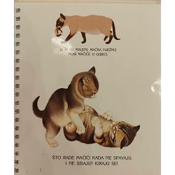 moja-prva-otkrica-macke-david-alderton-31293-x230-44_60779.jpg