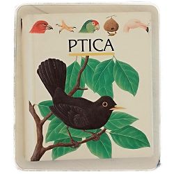 Moja prva otkrića: Ptica Rene Mettler