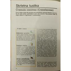 moje-sobno-bilje-1-19-1026-set-553_54526.jpg
