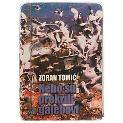 Nebo su prekrili galebovi Zoran Tomić