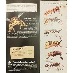 nevjerojatna-enciklopedija-larousse-kukci-i-ostale-zivotinji-88049-enc-263_60276.jpg