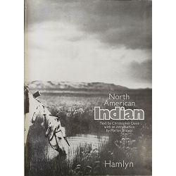 north-american-indian-design-coloring-book-13909-x250-7_52661.jpg