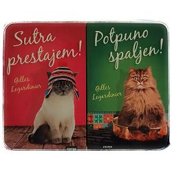 potpuno-spaljen-sutra-prestajem-gilles-legardinier-23710-set-78_49272.jpg