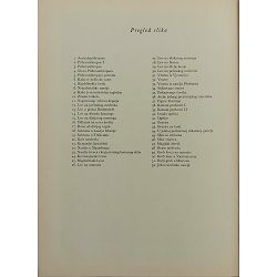 preistorijski-covek-45564-enc-738_54556.jpg