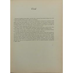 preistorijski-covek-82620-enc-738_54551.jpg