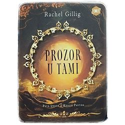 Prozor u tami Rachel Gillig