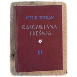 rascvjetana-tresnja-1-4-29266-x304-59_66941.jpg
