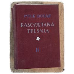 rascvjetana-tresnja-1-4-30700-x304-59_66942.jpg