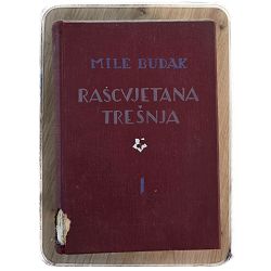 rascvjetana-tresnja-1-4-40354-x304-59_66939.jpg