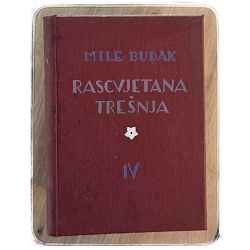 rascvjetana-tresnja-1-4-84923-x304-59_66940.jpg