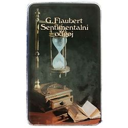 Sentimentalni odgoj Gustave Flaubert
